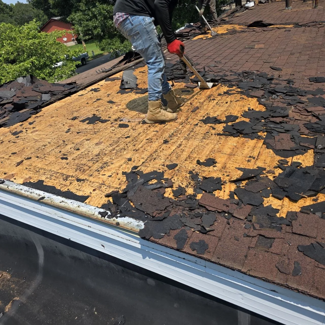 Roofing crew removing aged asphalt shingles to expose decking during a roof replacement